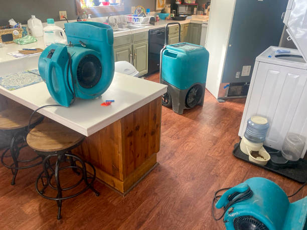 Best Flooded house restoration  in Live Oak, TX