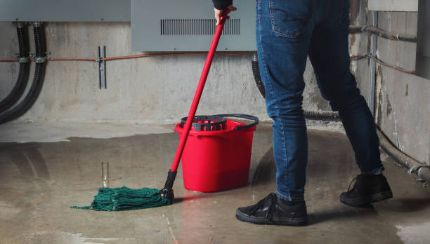 Best Sewage cleanup and water damage restoration  in Live Oak, TX