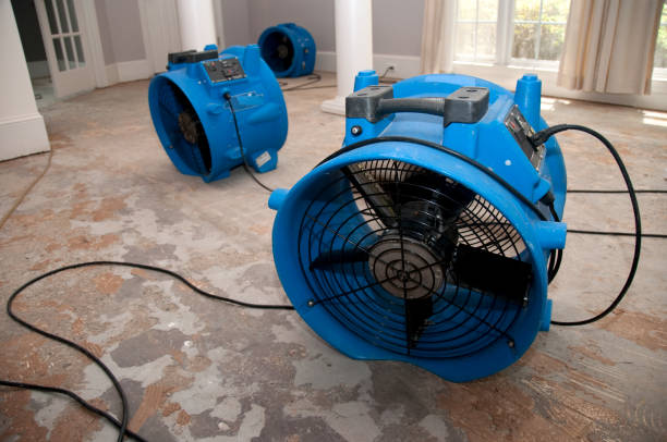 Best Water damage restoration near me  in Live Oak, TX