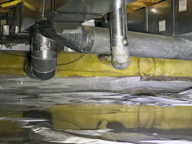 Best Flood damage cleanup  in Live Oak, TX