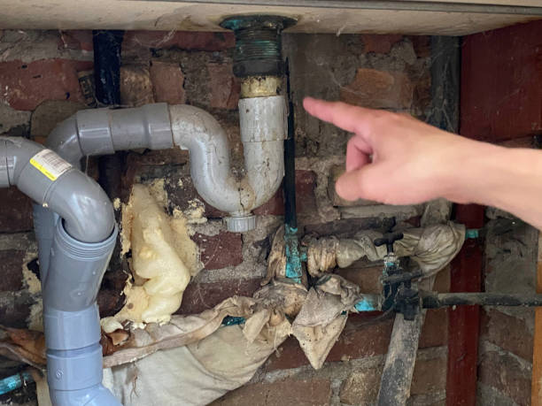 Best Ceiling water damage repair  in Live Oak, TX