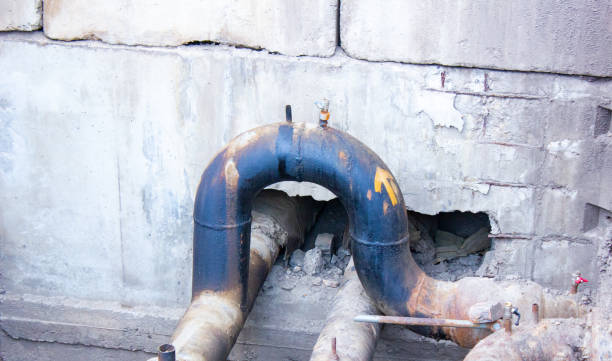 Best Fire Damage Restoration  in Live Oak, TX